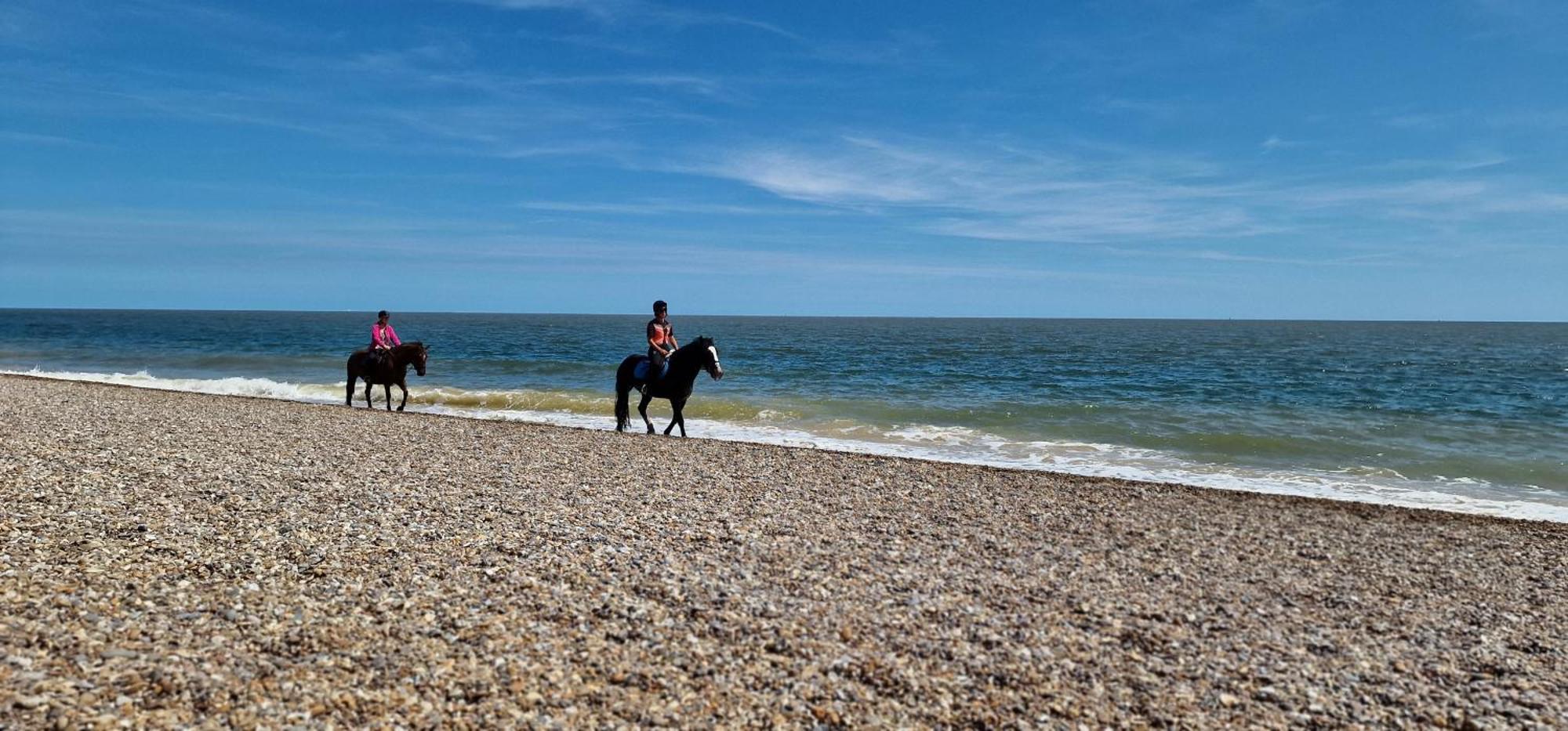 Holiday home Seagull - Suffolk Coastal Escapes *